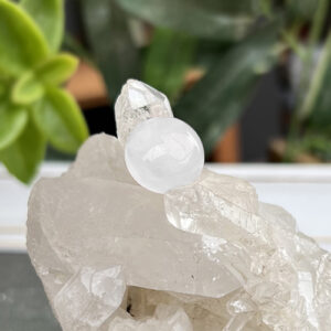 Ombliguera Cuarzo Cristal