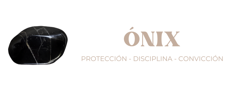 ONIX BOTON WEB